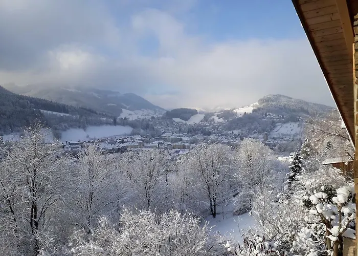 Kohlnberger Apartment *